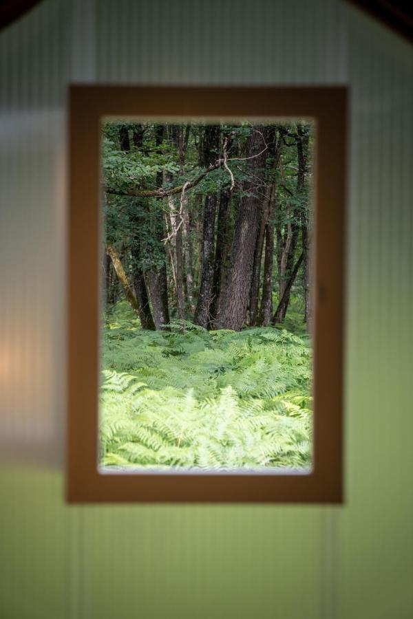 Camping Bois De St Hilaire Chalandray ภายนอก รูปภาพ