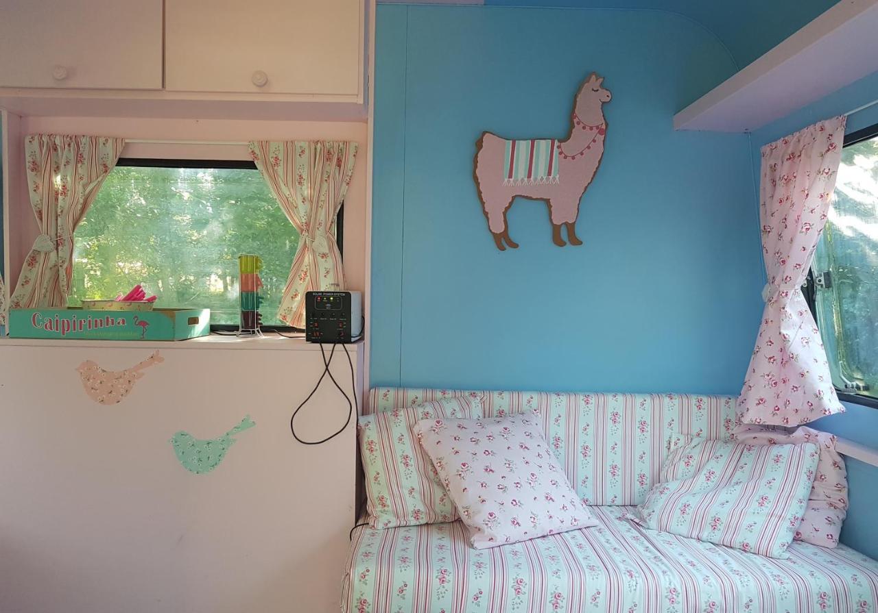 Camping Bois De St Hilaire Chalandray ภายนอก รูปภาพ