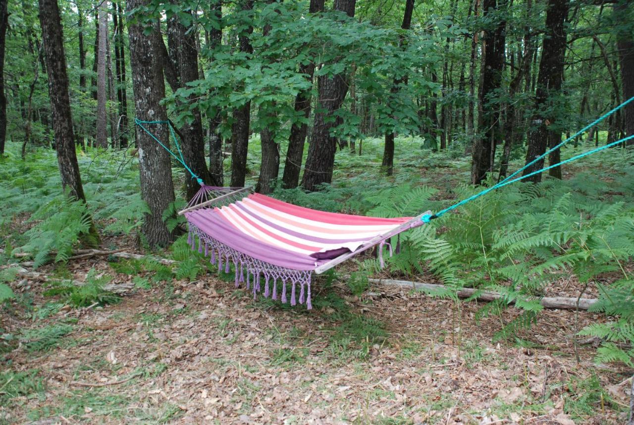 Camping Bois De St Hilaire Chalandray ภายนอก รูปภาพ