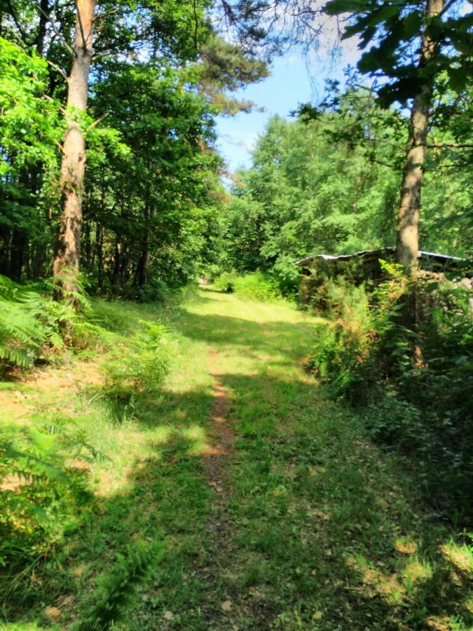 Camping Bois De St Hilaire Chalandray ภายนอก รูปภาพ