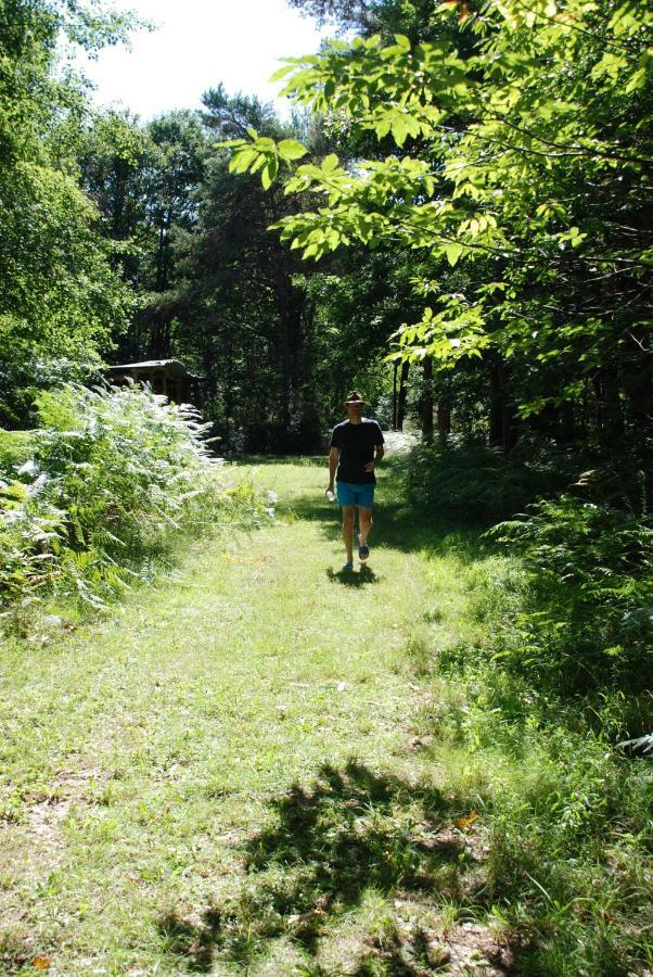 Camping Bois De St Hilaire Chalandray ภายนอก รูปภาพ